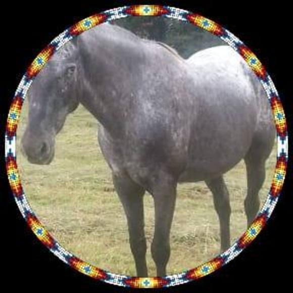 gray_mare